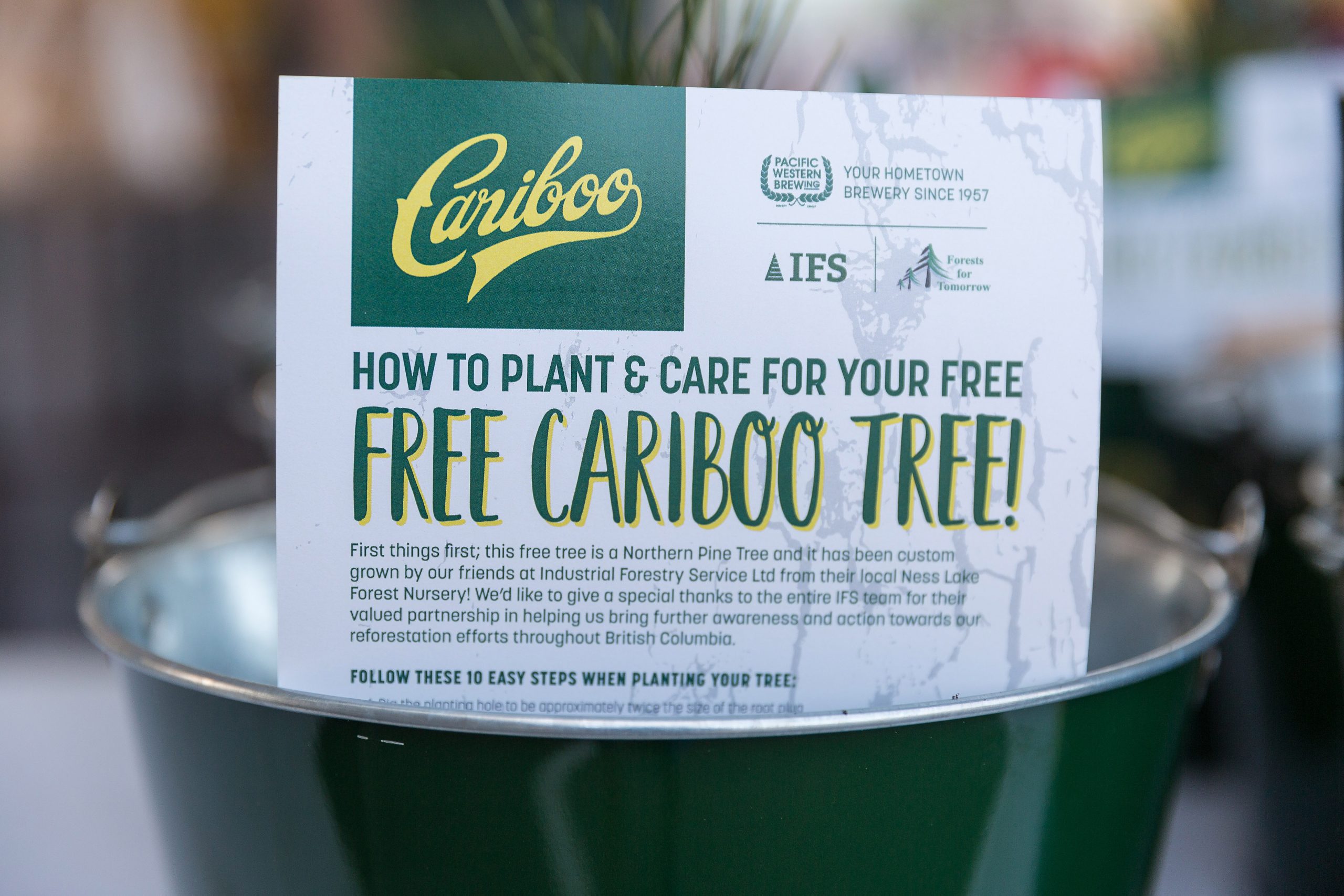 Cariboo Cares: Community Tree Giveaway event a success!