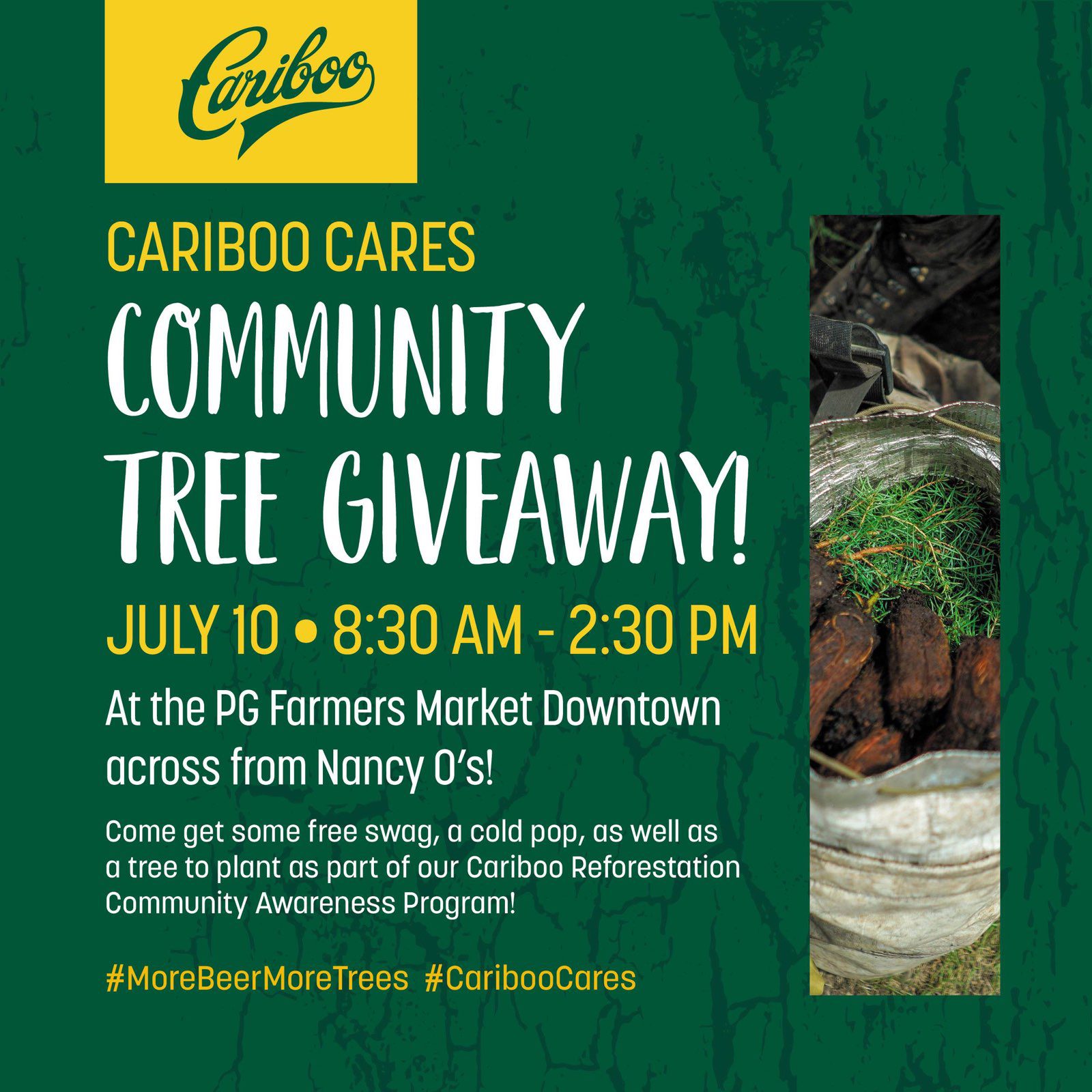Cariboo Cares: Community Tree Giveaway